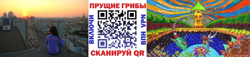 Псилоцибиновые грибы мицелий Солнечногорск